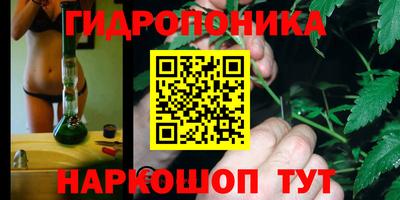дмт Бузулук